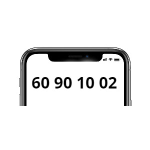 60 90 10 02 (Mobil)