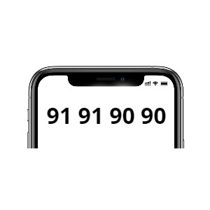 91 91 90 90 (Mobil)