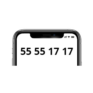 55 55 17 17 (Fastnet)