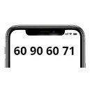 60906071-guldnummer