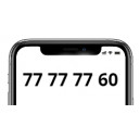 77 77 77 60 (Fastnet)